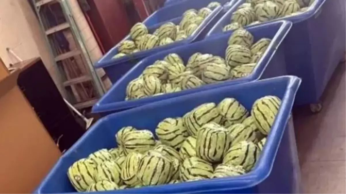 ABD’de karpuz sevkiyatı altında gizlenmiş 5 milyon dolar değerinde uyuşturucu ele geçirildi