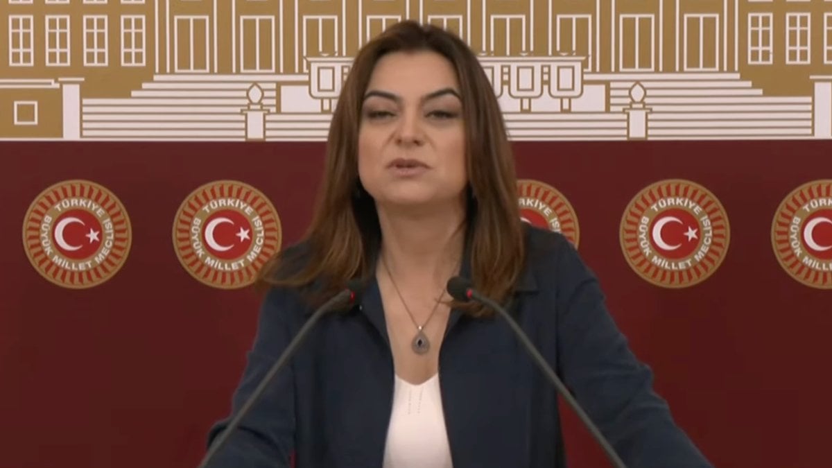 DEM’li Gülistan Koçyiğit, PKK’ya yapılan operasyonlardan rahatsız oldu