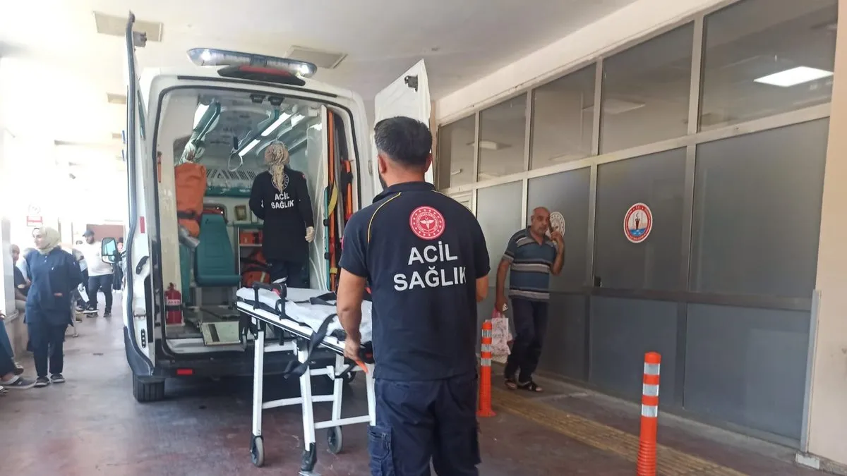 Şanlıurfa’da otomobilin çarptığı kadın öldü