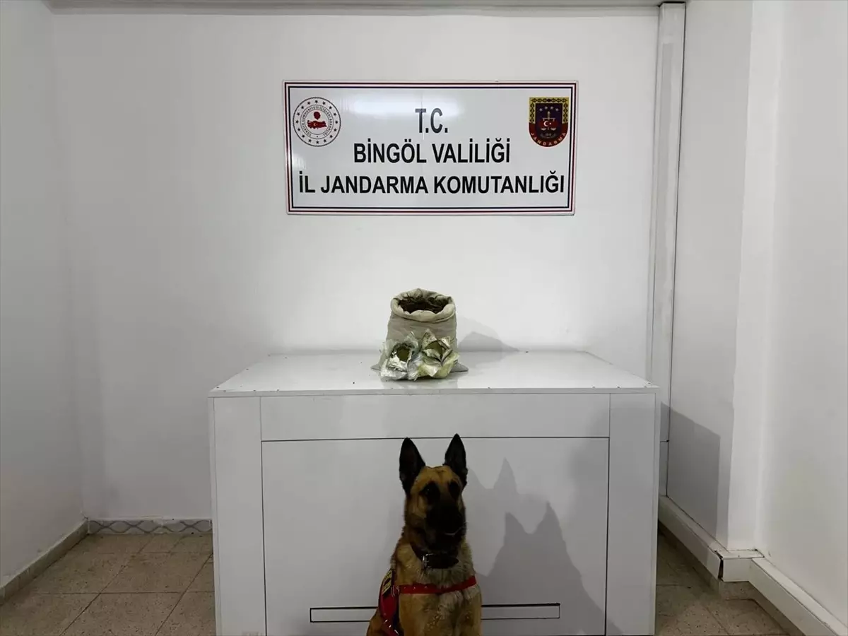 Bingöl’de Uyuşturucu Operasyonu
