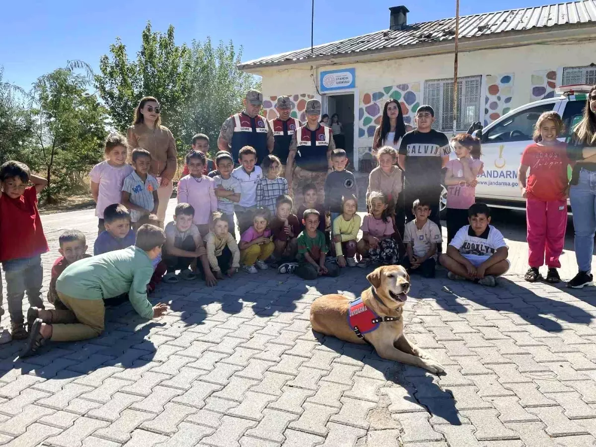 Diyarbakır’da Hayvan Sevgisi Etkinliği