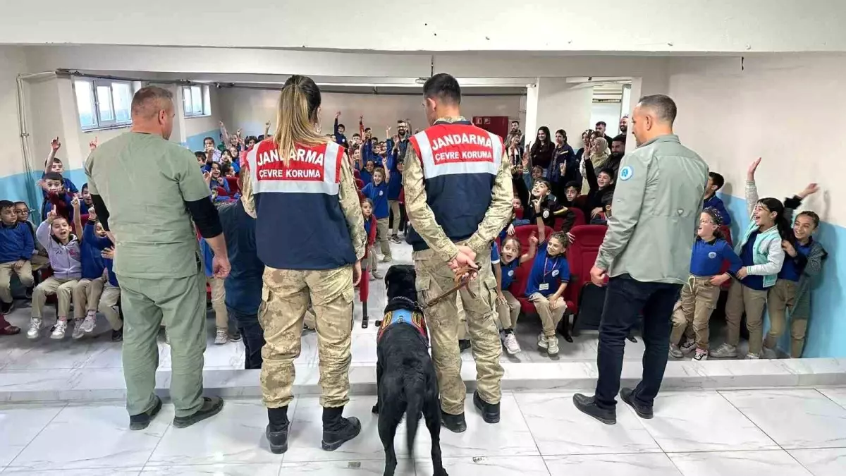 Hakkari’de Hayvan Hakları Etkinliği Düzenlendi